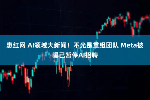 惠红网 AI领域大新闻！不光是重组团队 Meta被曝已暂停AI招聘