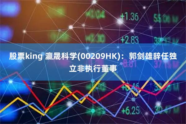 股票king 瀛晟科学(00209HK)：郭剑雄辞任独立非执行董事