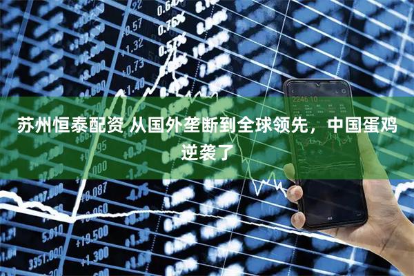 苏州恒泰配资 从国外垄断到全球领先,中国蛋鸡逆袭了