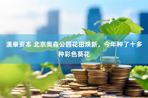 漢崋资本 北京奥森公园花田焕新，今年种了十多种彩色葵花